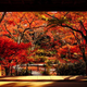 Image for article titled Bad Tourists Lead to Photography Ban at Japanese Temples